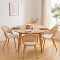 Rattan Dining Chairs Set of 4 with Upholstered Seat for Kitchen, White