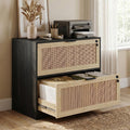 LAZZO 2-Drawer Lateral File Cabinet with Lock, Rattan-Front Wood Cabinet for Letter, Legal, A4 and F4 Files, Black